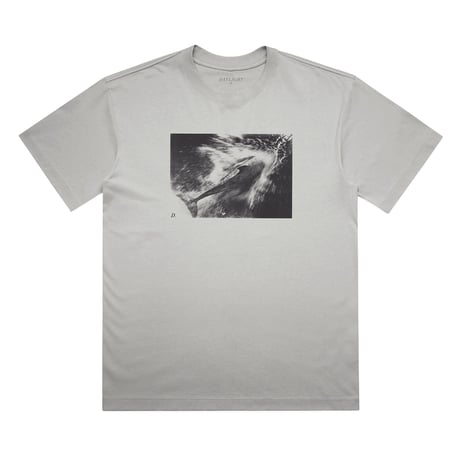 DAYLIGHT DIVE TEE GREY