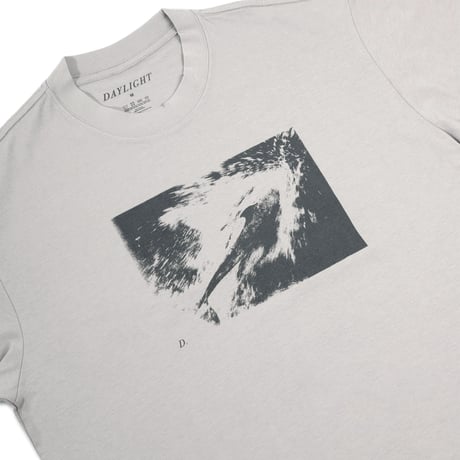 DAYLIGHT DIVE TEE GREY
