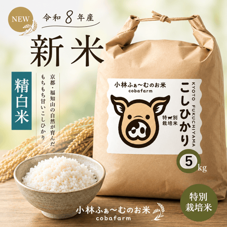 令和8年産　コシヒカリ（精白米）５キロ　【特別栽培米】【京都府福知山産】