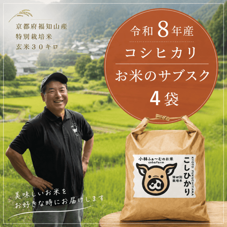 【令和8年】 年間契約お取り置き 玄米 ３０キロ ４袋 コシヒカリ 【お米のサブスク】