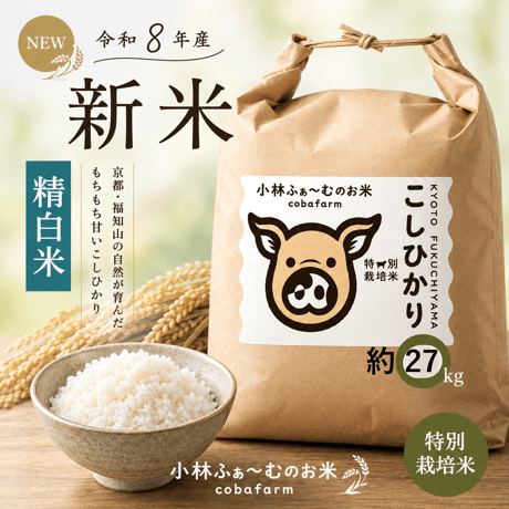 令和8年産　コシヒカリ（精白米）約２７キロ　【特別栽培米】【京都府福知山産】