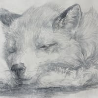 森 水翔　「おやすみとウトウトの間」　A4   21.0×29.7cm　Mori Mizuha