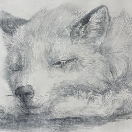 森 水翔　「おやすみとウトウトの間」　A4   21.0×29.7cm　Mori Mizuha