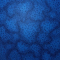 藤田直樹 　 「fractale」  S6号　(41.0×41.0cm)　Fujita Naoki