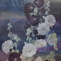 伊藤寛人  「露 葵」　F30号   Ito Hiroto   (91.0×72.7cm)