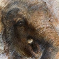 森 水翔　「Shower and Elephant」　F4号 　Mori Mizuha　 33.3×24.2cm