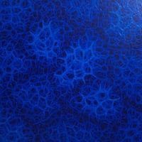 藤田直樹 　 「fractale Ⅱ」  S1号　(22.0×22.0cm)　Fujita Naoki