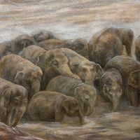 森 水翔　「視界と境界」　P30号 　Mori Mizuha　 65.2×91.0cm