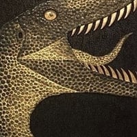 木下 武　「Raptor」　50×10cm