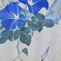 伊藤寛人  「朝 顔」　F6号   Ito Hiroto   (41.0×31.8cm)