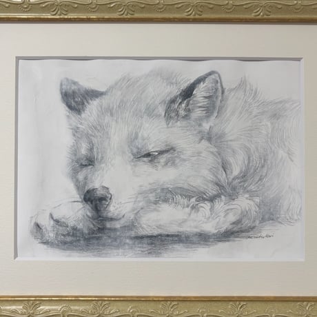 森 水翔　「おやすみとウトウトの間」　A4   21.0×29.7cm　Mori Mizuha