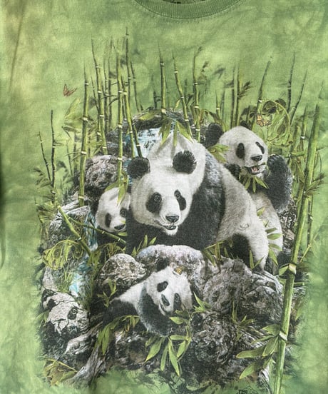 Panda family print t-shirt