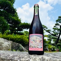カベルネ ソーヴィニヨン・ペティアン無添加微炭酸 自然酵母無濾過 720ml