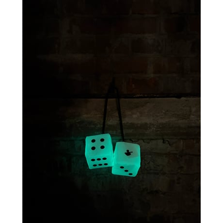 RWCHE - DUDE DICE(GLOW IN THE DARK)