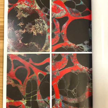 "THE LEX SERIES IMPRESSIONE" catalogue
