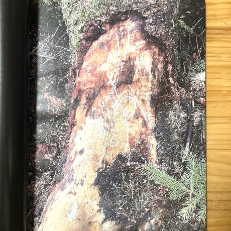 "THE LEX SERIES IMPRESSIONE" catalogue