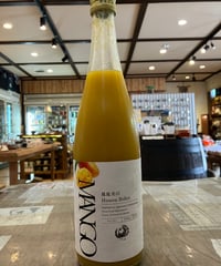 旭興 貴醸酒 19回仕込 千 720ml | とちぎの地酒 月井酒店