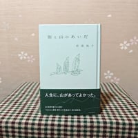 『街と山のあいだ』若菜晃子
