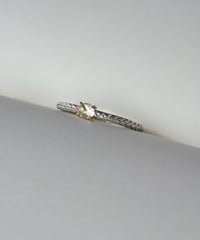 One of kind / Natural Diamond Ring ＜Pt/K18YG＞ - R253PTYG