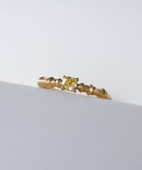 One of kind / Natural Diamond Ring ＜K18YG＞ - R269YG