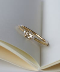 One of kind / Natural Diamond Ring ＜K18YG＞ -R307YG