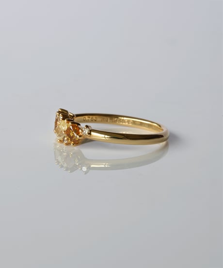 One of kind / Natural Diamond Ring ＜K18YG＞ -R763YG