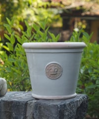 Kew Garden   White