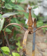 王冠