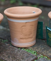 ウィッチフォード　Royal Baby Pot