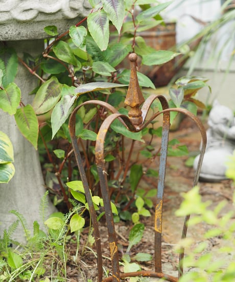 ITEM | gris garden plants STORE