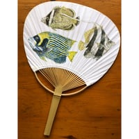 よたか堂（カイズケン）　手描きうちわ「賑やかな熱帯魚」一点物