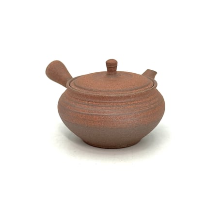 小北條 Kohokujo 焼締 小急須　ST1380