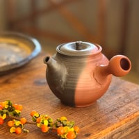 北條 Hokujo 朱泥 窯変茶注　ST1389