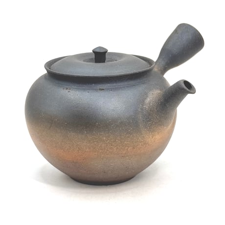水野陽景 Yokei Mizuno  窯変 焼締 カメ型茶注　ST1413