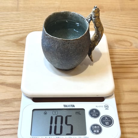 山口江太 Kota Yamaguchi  金彩 アロワナカップ ST1373