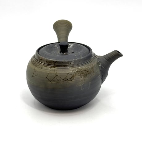 片山白山 Hakusan Katayama 窯変藻掛急須　ST1221