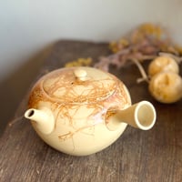 水野博司 Hiroshi Mizuno 白泥 藻焼 急須(大の小)　ST1223