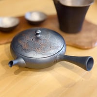 藤田德太 Tokuta Fujita 藻掛け 鉄鉢型 急須　ST1230