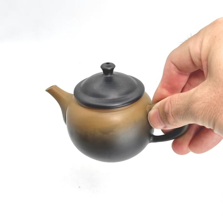 片山白山 Hakusan Katayama 黄泥 窯変 茶注　ST1236