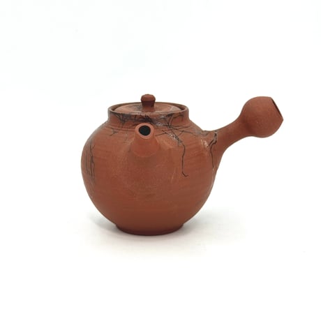 北條 Hokujo 朱泥藻掛 茶注 木箱入　ST1344