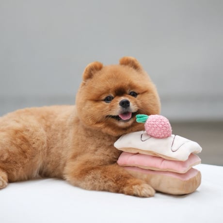 [Pups & Bubs]  ストロベリーミルフィーユ ノーズワーク