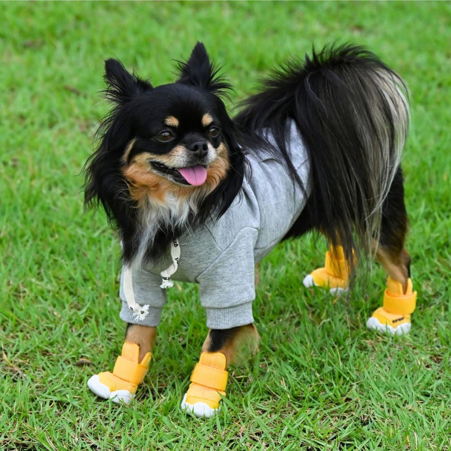 627df9ed7d11612787e5a12c