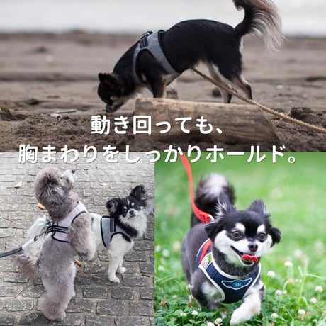 [BBR]  FUWA ハーネス チャコールグレー
