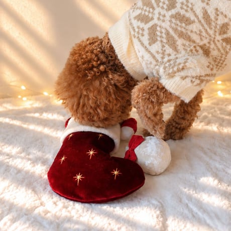 [Pups & Bubs]  クリスマス靴下 3点セット