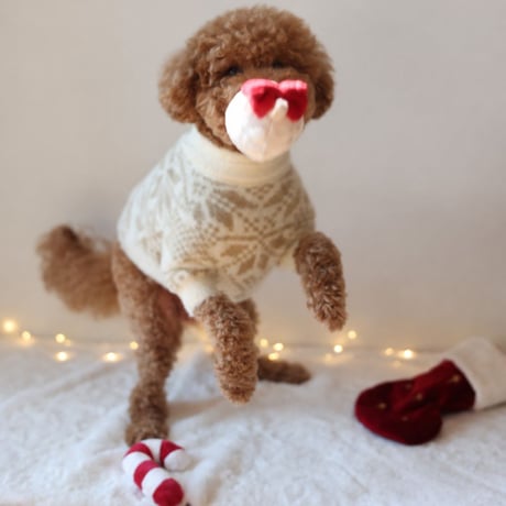 [Pups & Bubs]  クリスマス靴下 3点セット