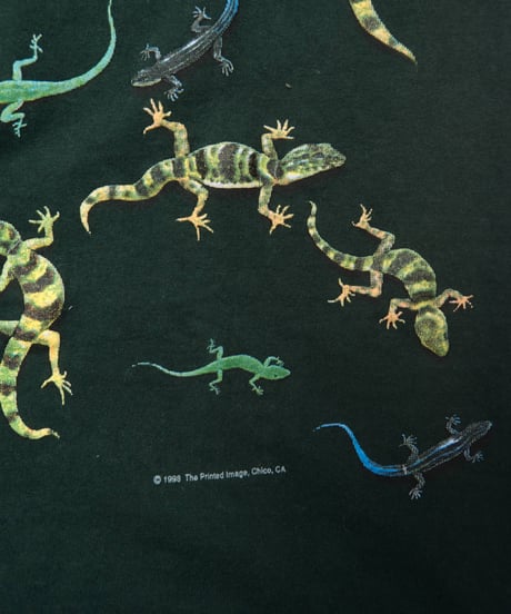 90s gecko