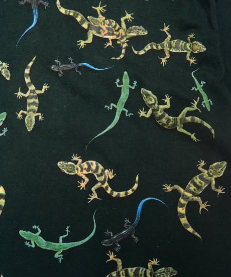 90s gecko