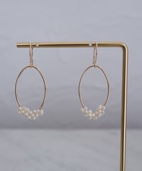 Seed oval hook pierce