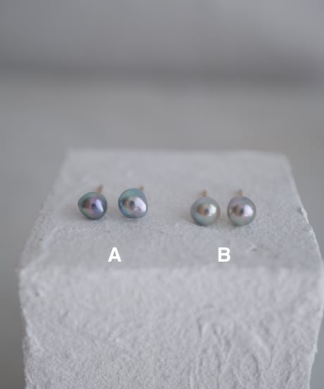 Akoya  aoboshi stud pierce  M