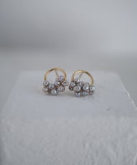 Seed GY circlestud pierce